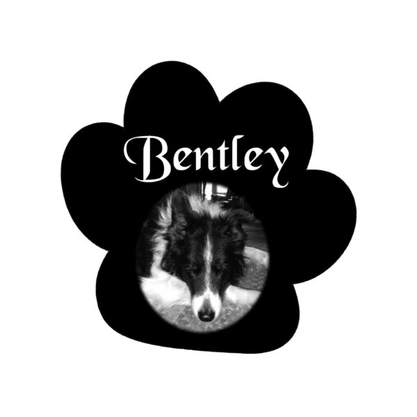 Pet Grave Marker - Paw