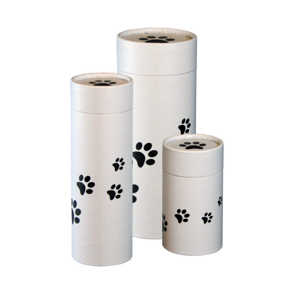 Paw Prints