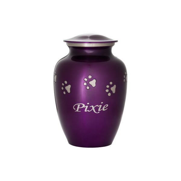 Beloved Companion Series - Amethyst