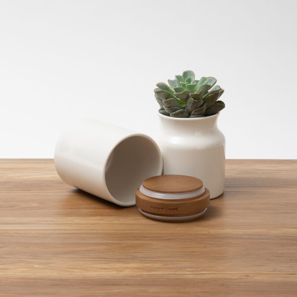 Beautiful Vase Urn - Image 5