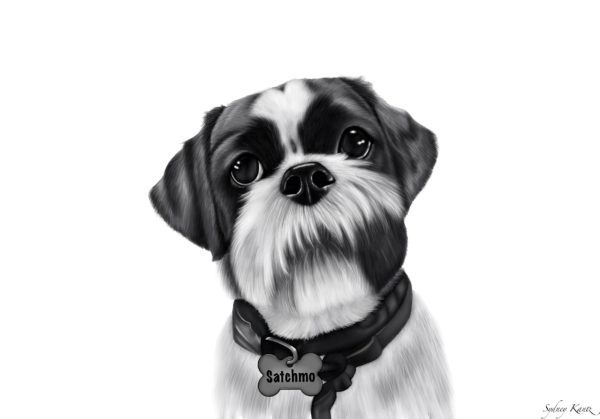 Digital Pet Portrait - Black and White (Head)