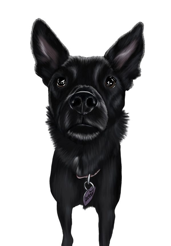 Digital Pet Portrait - Semi-Realistic - Image 4