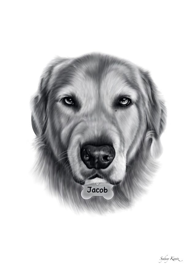 Digital Pet Portrait - Semi-Realistic - Image 3