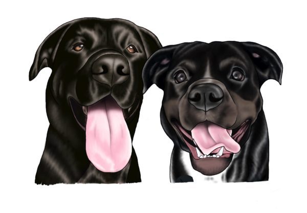 Digital Pet Portrait - Semi-Realistic - Image 5