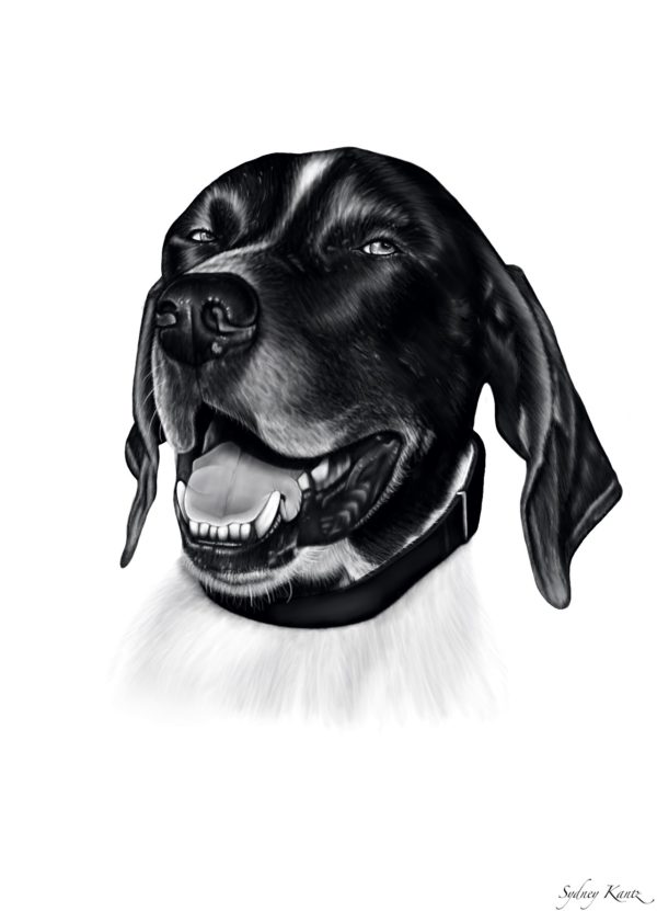 Digital Pet Portrait - Semi-Realistic - Image 2