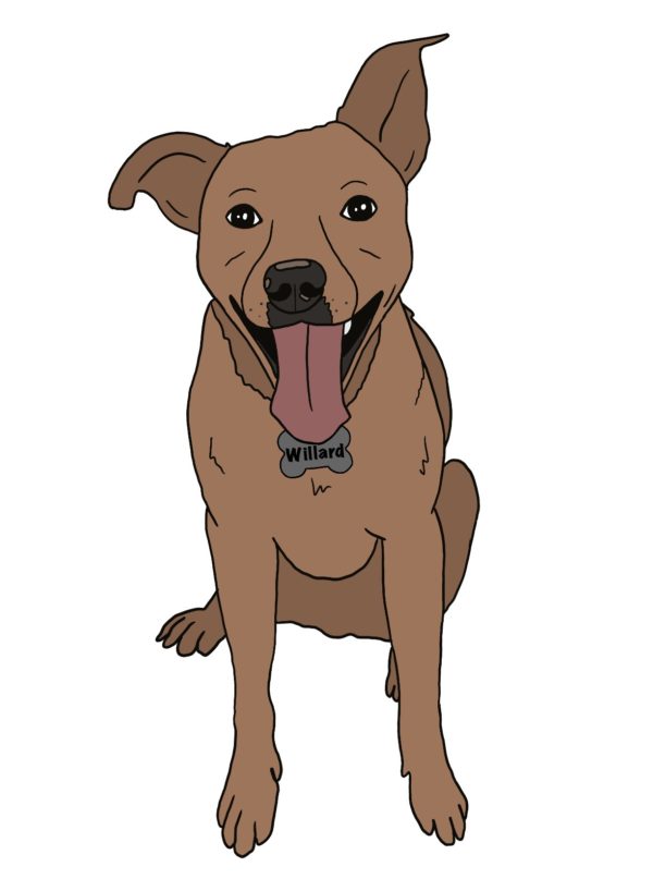 Digital Pet Portrait - Cartoon Style (Full Body)