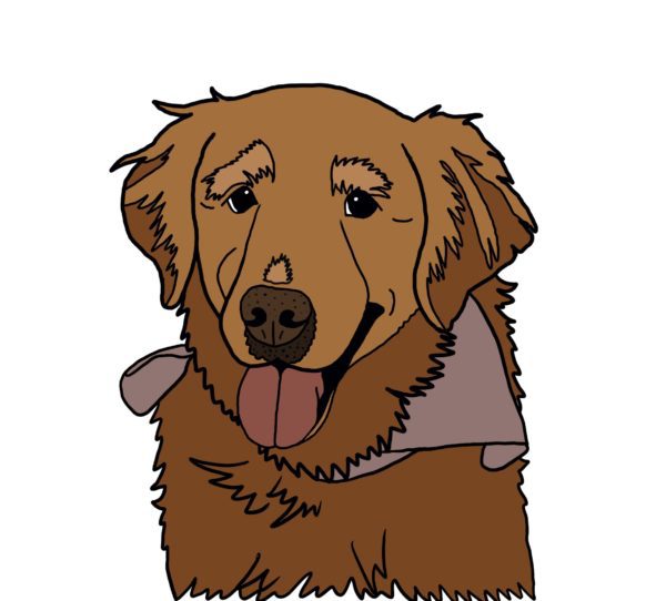 Digital Pet Portrait - Cartoon Style (Head)